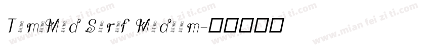 TamiMed Serif Medium字体转换